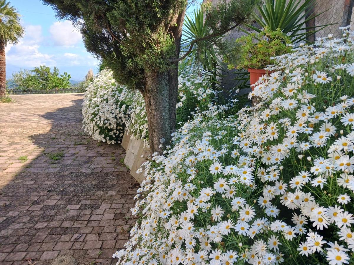 Agriturismo Vemi Santa Sofia d'Epiro Exterior foto